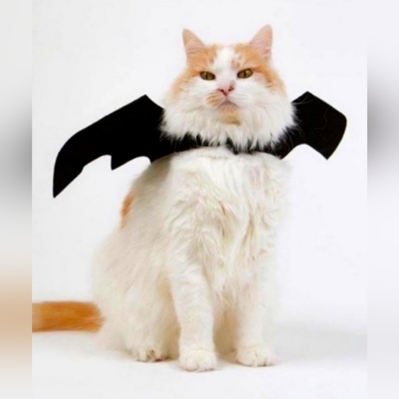 ⚡️Host Pick⚡️Cat Costume "Bat Wings" Small Dog Costume - Picture 6 of 6
